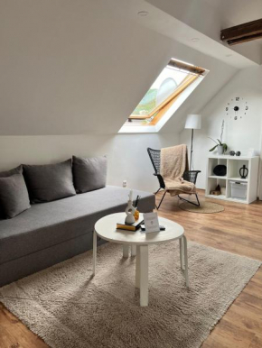 Exquisites Loft mit Schloß Blick für 5 Personen